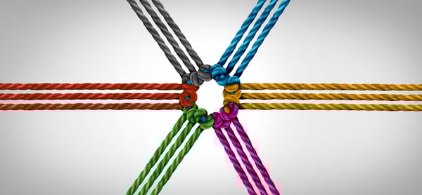 collaborative company culture